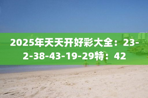 2025年天天开好彩大全：23-2-38-43-19-29特：42