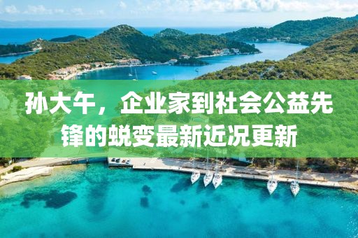孙大午，企业家到社会公益先锋的蜕变最新近况更新