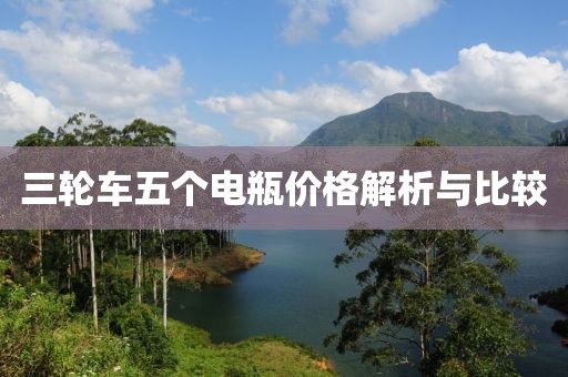 三轮车五个电瓶价格解析与比较