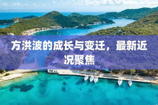 方洪波的成长与变迁，最新近况聚焦