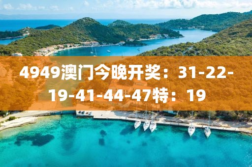 4949澳门今晚开奖：31-22-19-41-44-47特：19