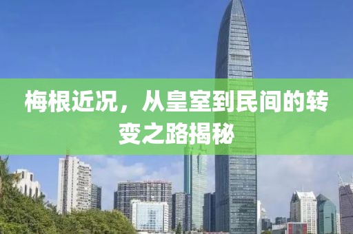梅根近况，从皇室到民间的转变之路揭秘