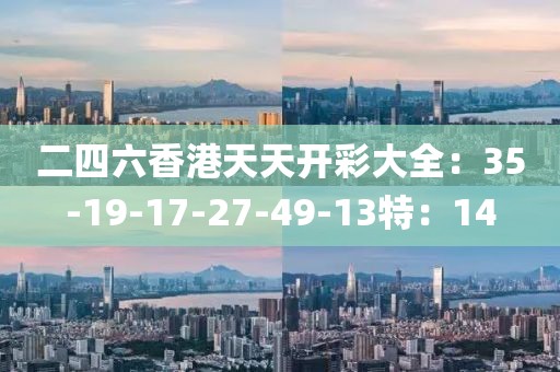 二四六香港天天开彩大全：35-19-17-27-49-13特：14