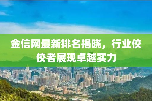 金信网最新排名揭晓，行业佼佼者展现卓越实力