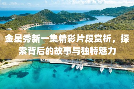 金星秀新一集精彩片段赏析，探索背后的故事与独特魅力