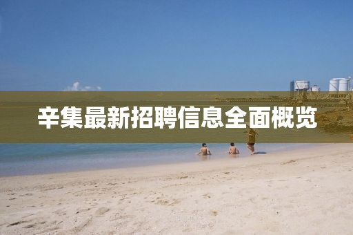 辛集最新招聘信息全面概览