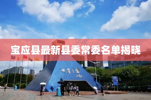 宝应县最新县委常委名单揭晓
