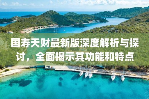 国寿天财最新版深度解析与探讨，全面揭示其功能和特点