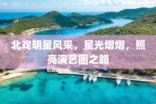 北戏明星风采，星光熠熠，照亮演艺圈之路