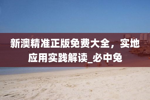 新澳精准正版免费大全，实地应用实践解读_必中兔