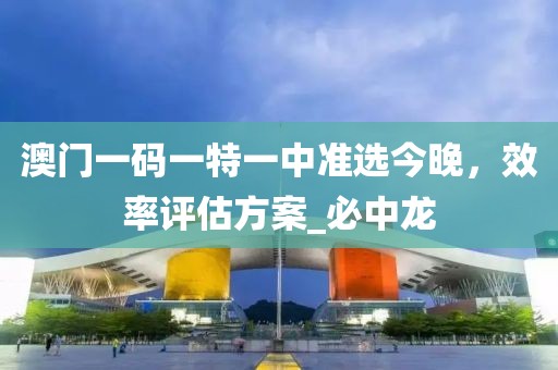 澳门一码一特一中准选今晚，效率评估方案_必中龙
