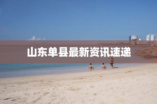 山东单县最新资讯速递