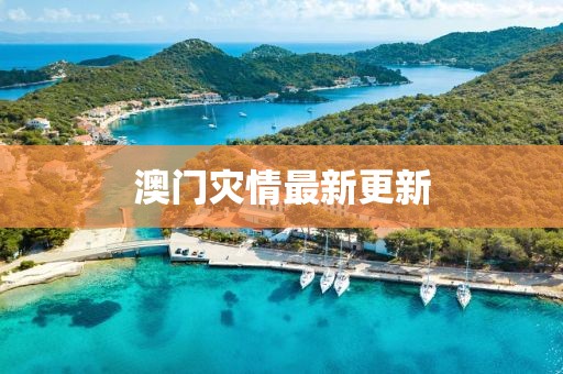 澳门灾情最新更新