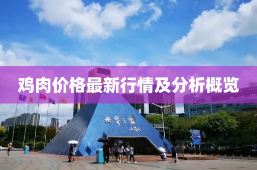 鸡肉价格最新行情及分析概览