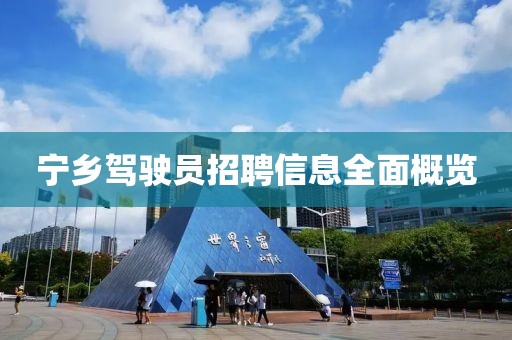 宁乡驾驶员招聘信息全面概览