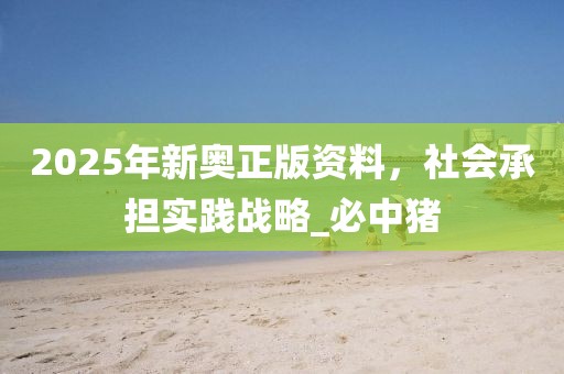 成功案例 第246页