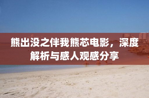 熊出没之伴我熊芯电影，深度解析与感人观感分享
