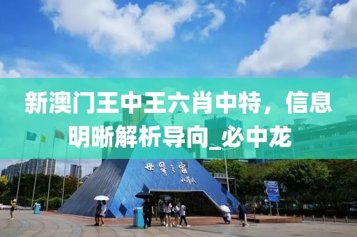 新澳门王中王六肖中特，信息明晰解析导向_必中龙