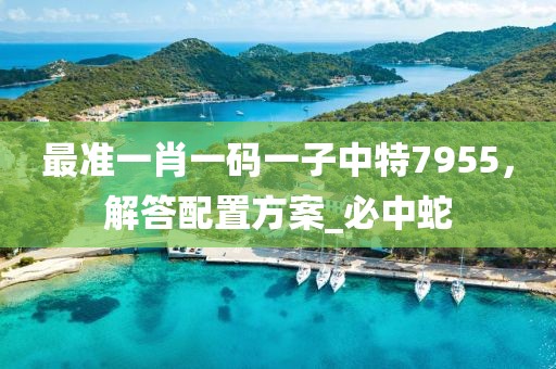 最准一肖一码一子中特7955，解答配置方案_必中蛇