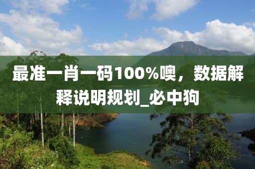 最准一肖一码100%噢，数据解释说明规划_必中狗