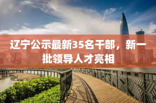 辽宁公示最新35名干部，新一批领导人才亮相