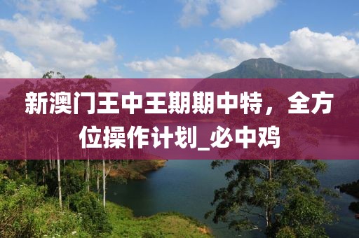 新澳门王中王期期中特，全方位操作计划_必中鸡