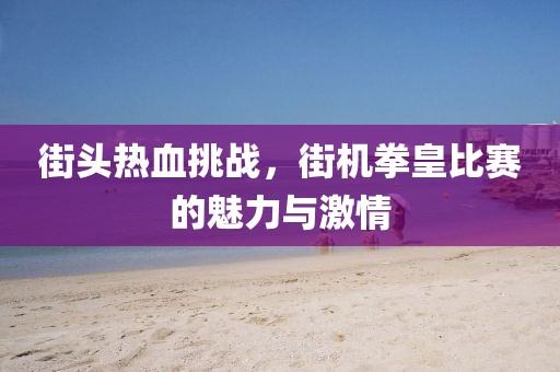 街头热血挑战，街机拳皇比赛的魅力与激情