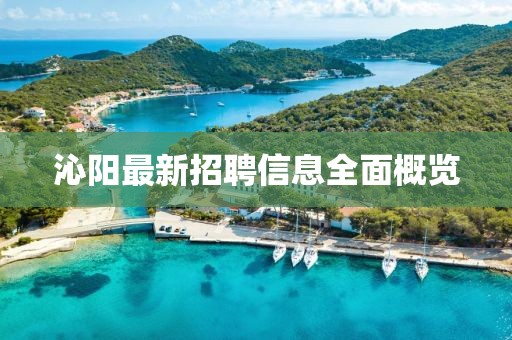 沁阳最新招聘信息全面概览