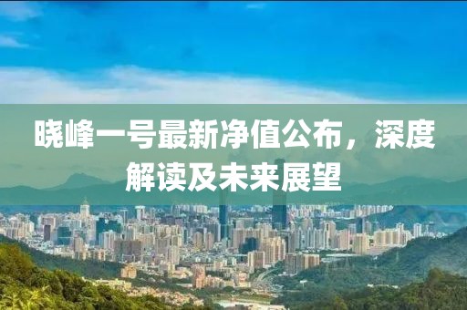 晓峰一号最新净值公布，深度解读及未来展望