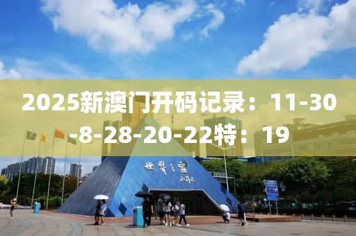 2025新澳门开码记录：11-30-8-28-20-22特：19
