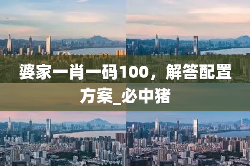 婆家一肖一码100，解答配置方案_必中猪