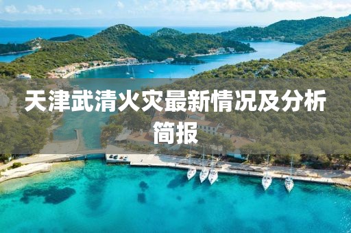 天津武清火灾最新情况及分析简报