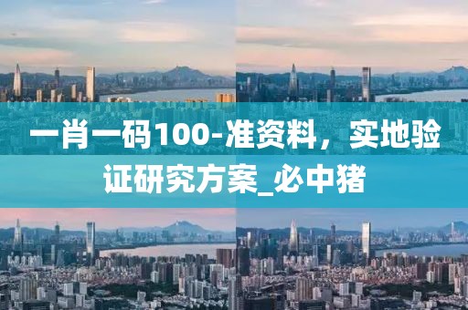 一肖一码100-准资料，实地验证研究方案_必中猪