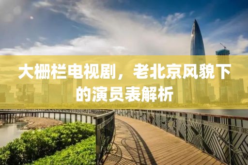 大栅栏电视剧，老北京风貌下的演员表解析