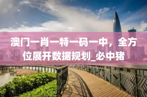 澳门一肖一特一码一中，全方位展开数据规划_必中猪