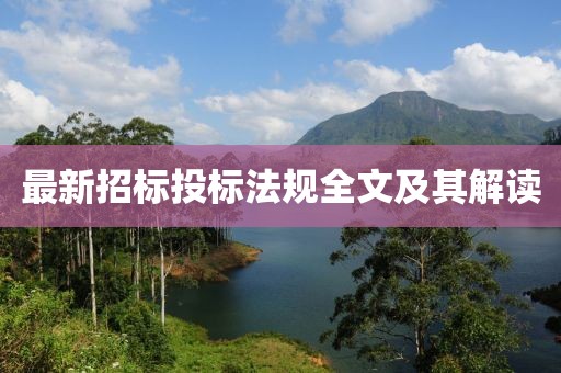最新招标投标法规全文及其解读