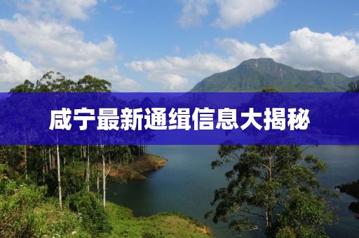 咸宁最新通缉信息大揭秘