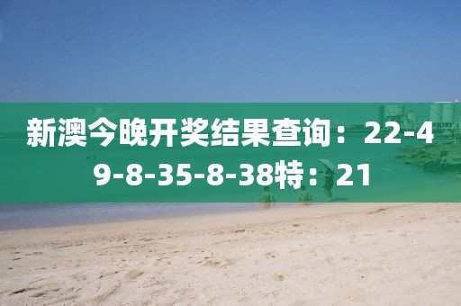 新澳今晚开奖结果查询：22-49-8-35-8-38特：21
