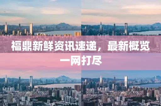 福鼎新鲜资讯速递，最新概览一网打尽