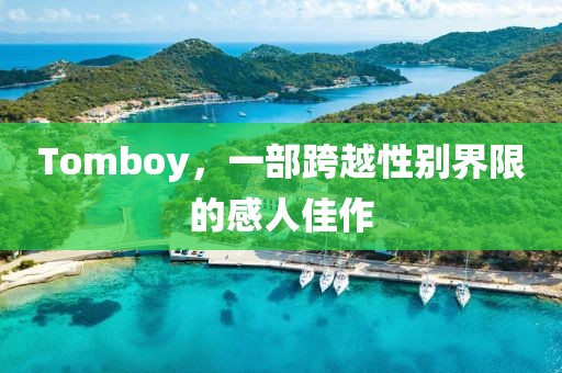 Tomboy，一部跨越性别界限的感人佳作