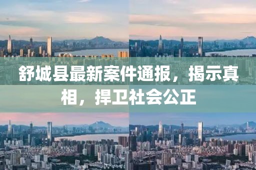 舒城县最新案件通报，揭示真相，捍卫社会公正