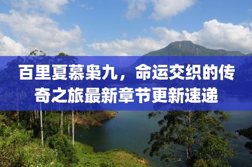 百里夏慕枭九，命运交织的传奇之旅最新章节更新速递