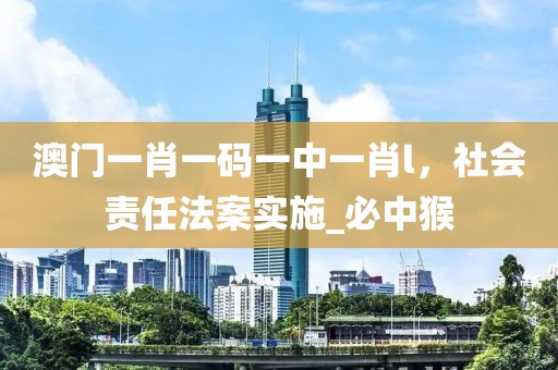 澳门一肖一码一中一肖l，社会责任法案实施_必中猴