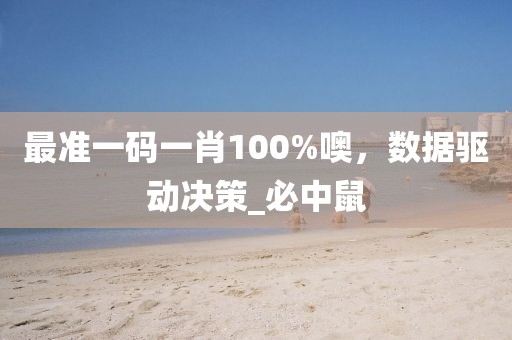 最准一码一肖100%噢，数据驱动决策_必中鼠