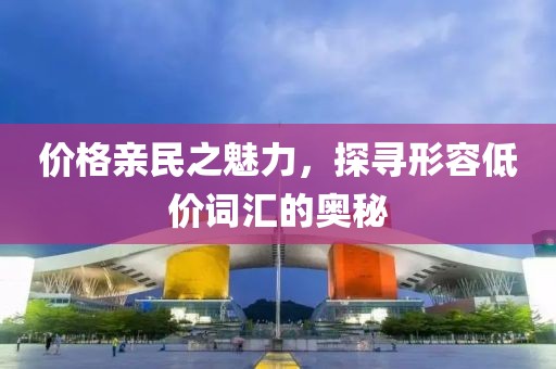 价格亲民之魅力，探寻形容低价词汇的奥秘