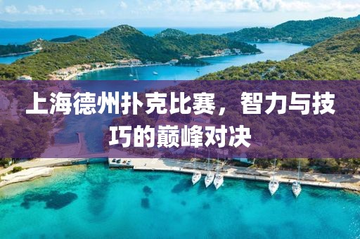 上海德州扑克比赛，智力与技巧的巅峰对决