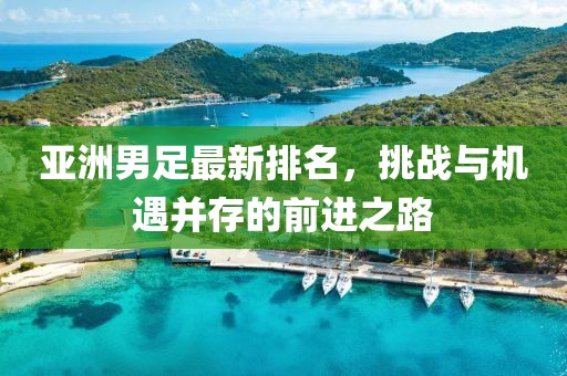 亚洲男足最新排名，挑战与机遇并存的前进之路