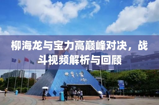柳海龙与宝力高巅峰对决，战斗视频解析与回顾