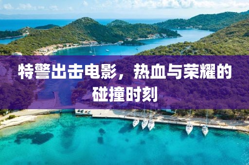 特警出击电影，热血与荣耀的碰撞时刻