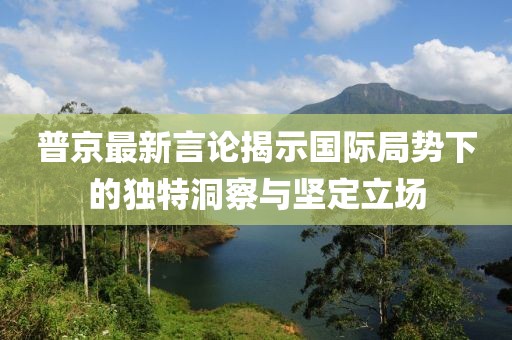 普京最新言论揭示国际局势下的独特洞察与坚定立场